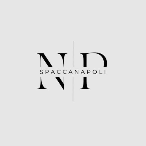 Np Spaccanapoli Exterior foto